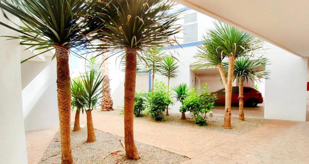 Apartment With Sea Views In Las Terrazas/Playa Flamenca Dehesa de Campoamor  Eksteriør billede