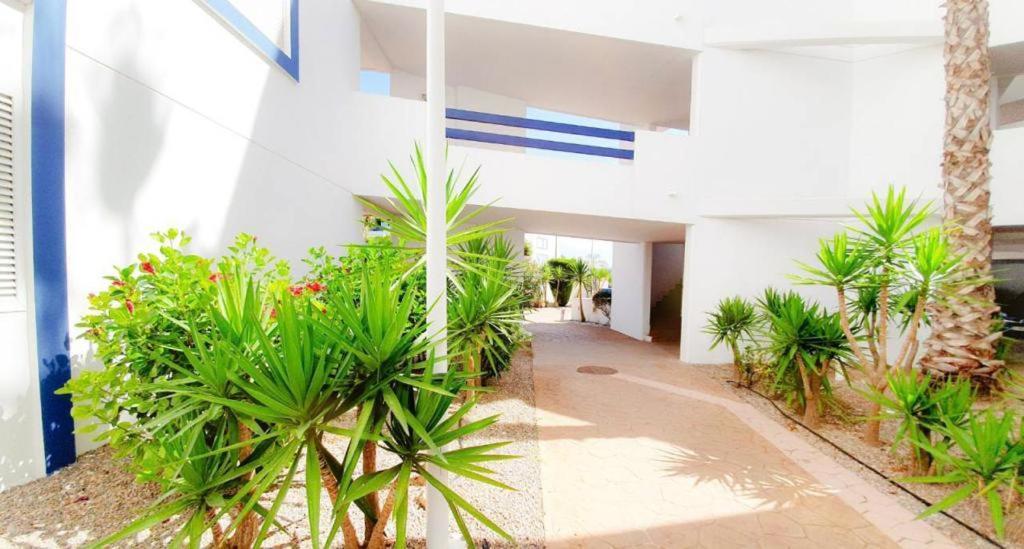 Apartment With Sea Views In Las Terrazas/Playa Flamenca Dehesa de Campoamor  Eksteriør billede